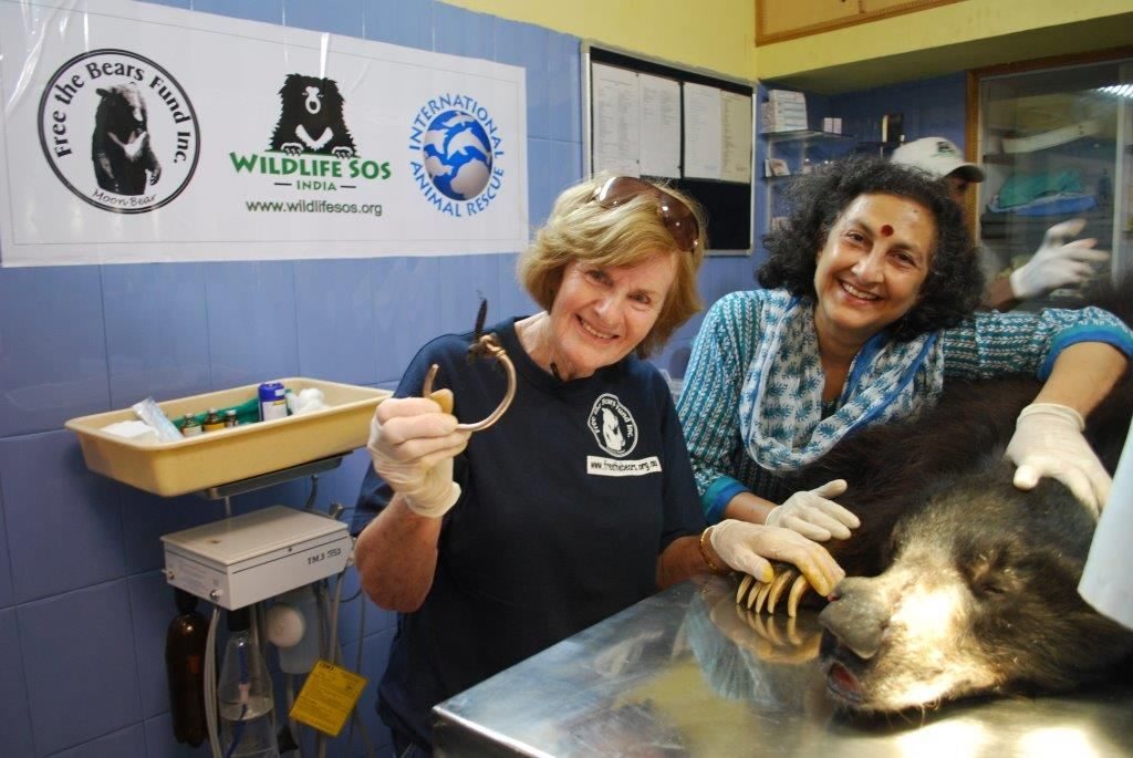 Mary, a veterinarian Geeta and a sloth bear rescued from India's 'dancing bear' practice.