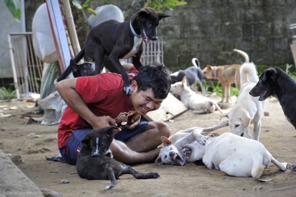 Rehabilitated BARC dogs. 